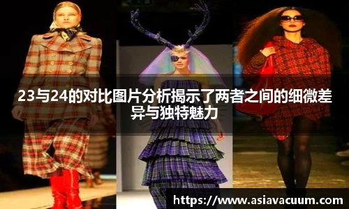 23与24的对比图片分析揭示了两者之间的细微差异与独特魅力